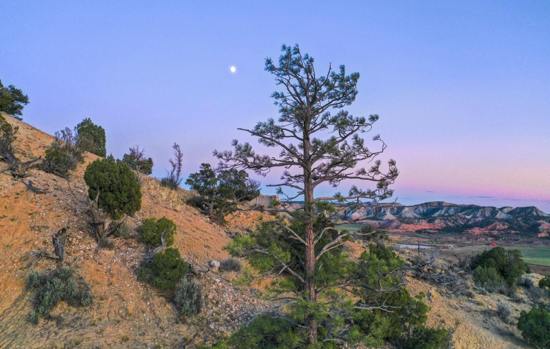 Clear Sky Resorts - Bryce Canyon - Unique Stargazing Domes Cannonville Exterior foto